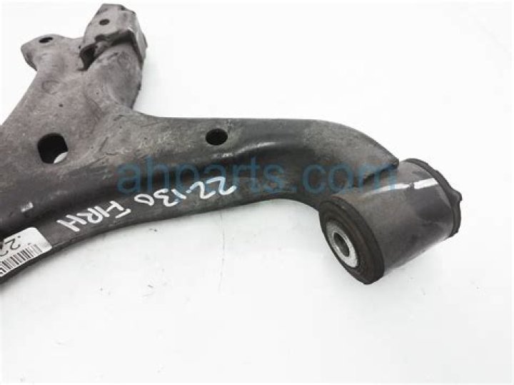 Is Paul Rudd Dead or Alive? Know Everything About Paul Rudd - Latest News