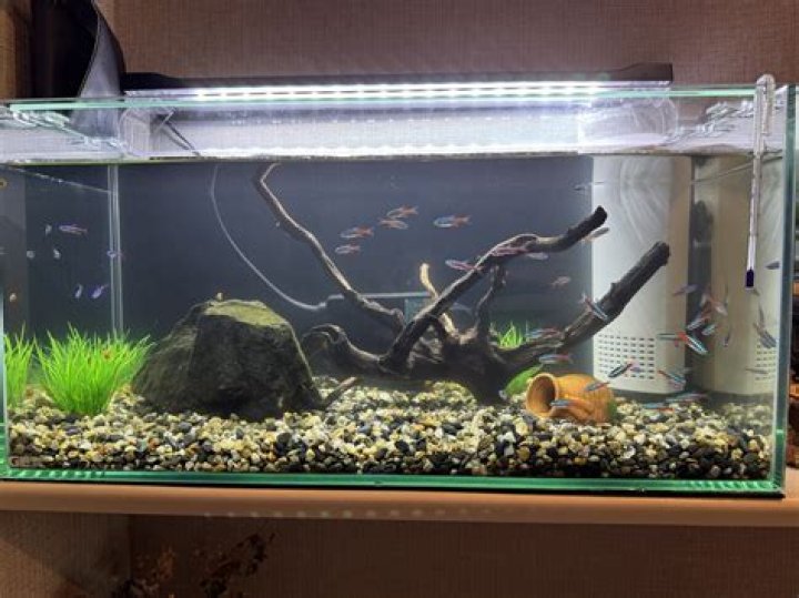 Alex Bass Net Worth: Career, Home, Age, Income, All You Need to Know - SarkariResult