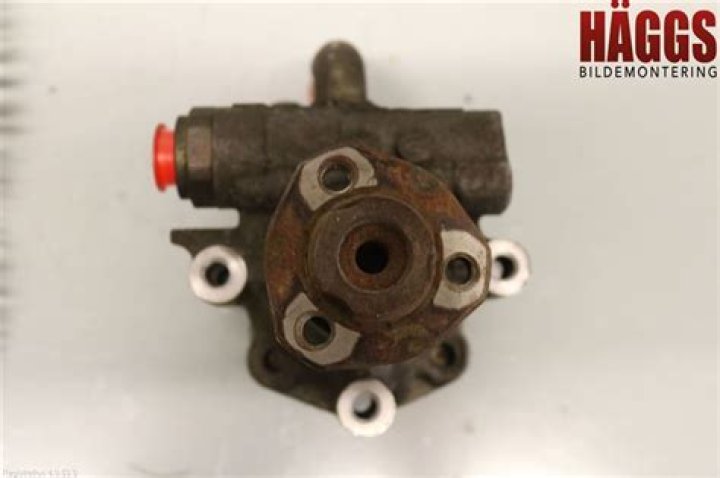 Who is Mackenzie Sol? Is TikTok Star Mackenzie Sol on American Idol? - SarkariResult